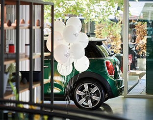 MINI EXPERIENCE