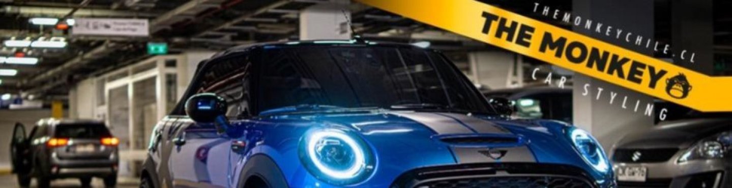 PERSONALIZA TU AUTO MINI CON THE MONKEY CHILE.