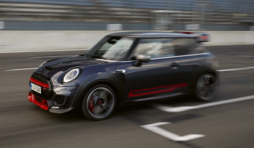EL MINI RAYADO