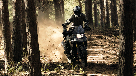 BMW F 850 GS