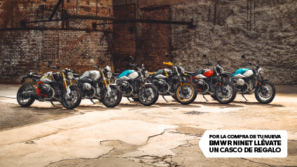 FAMILIA R NINET