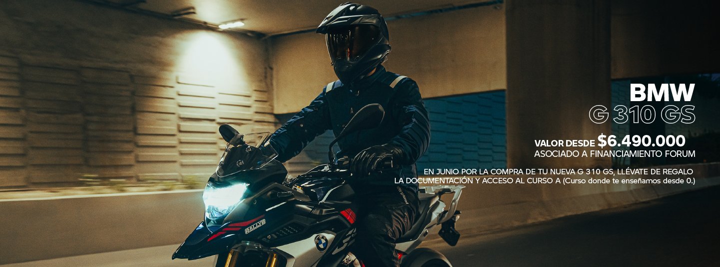 BMW G 310 GS